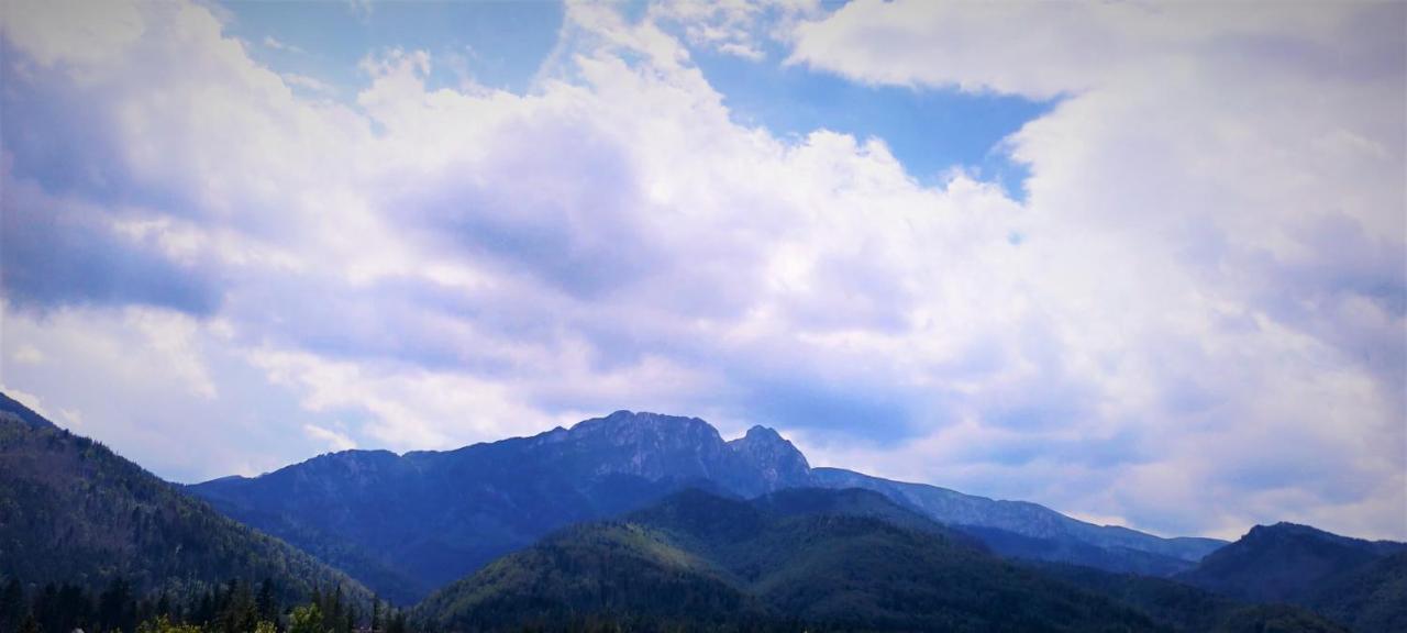 Bed and Breakfast Hyrny Zakopane Esterno foto
